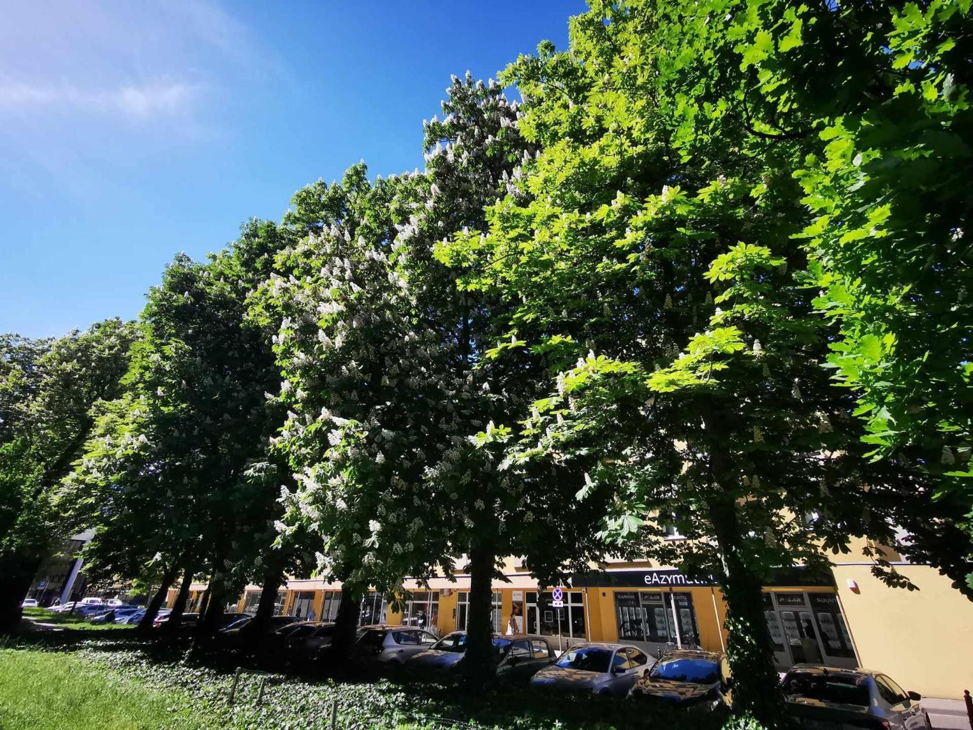 Corazziego Plac Bankowy Apartment Varşova Dış mekan fotoğraf